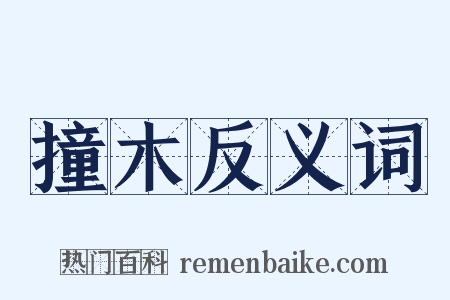 撞木反义词是什么意思的图片